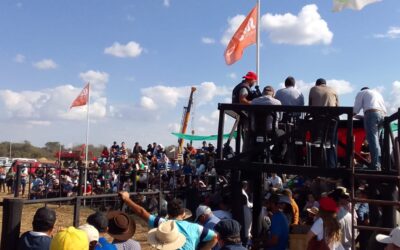 La ganadería recupera protagonismo en Agronea, ante nuevos desafíos de la demanda mundial