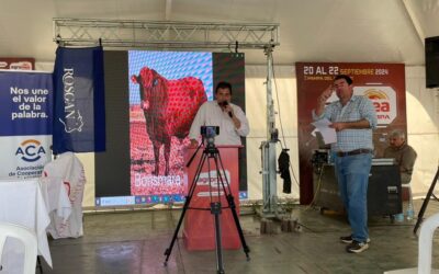 Ganadería en Agronea Pampa “Hay que empezar a contarle a los jóvenes que producir alimentos para el futuro”