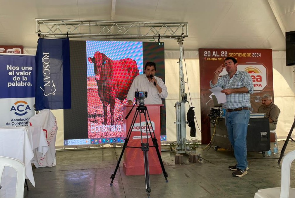 Ganadería en Agronea Pampa “Hay que empezar a contarle a los jóvenes que producir alimentos para el futuro”