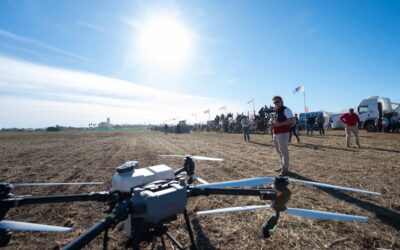 Día dos en Agronea 2025: Remate, economía, innovación tecnológica en exposición y dinámicas