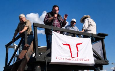 Remate ganadero, genética de excelencia y financiamiento en Agronea 2026