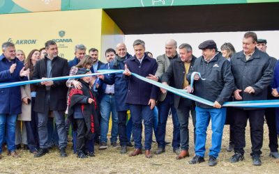 Agronea 2026 abrió sus puertas con un fuerte respaldo al sector productivo y un llamado a generar más oportunidades para el norte argentino